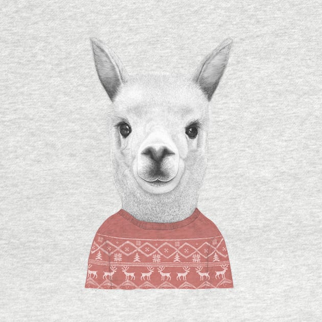 Lama in a sweater by kodamorkovkart